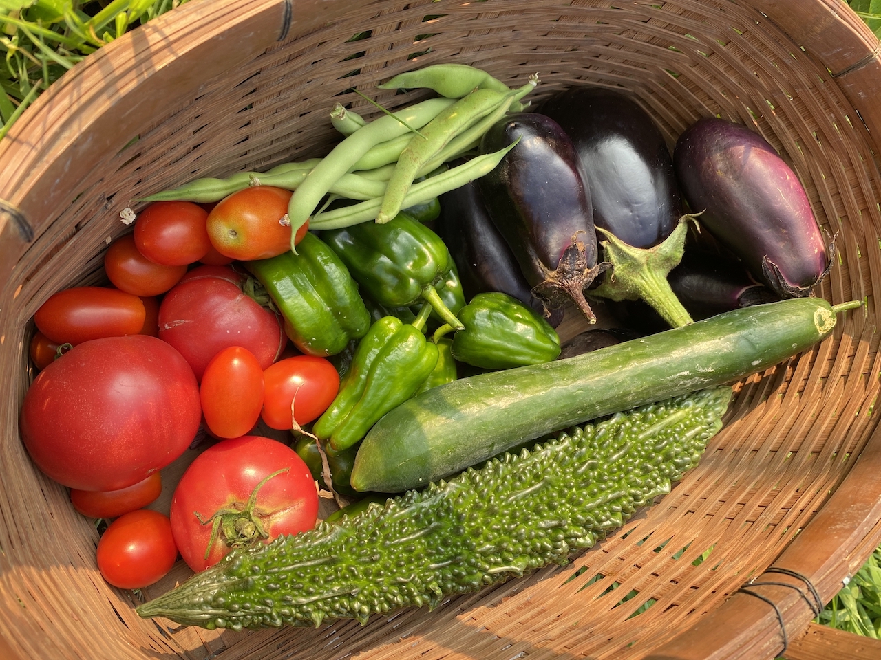 homemade vegetables