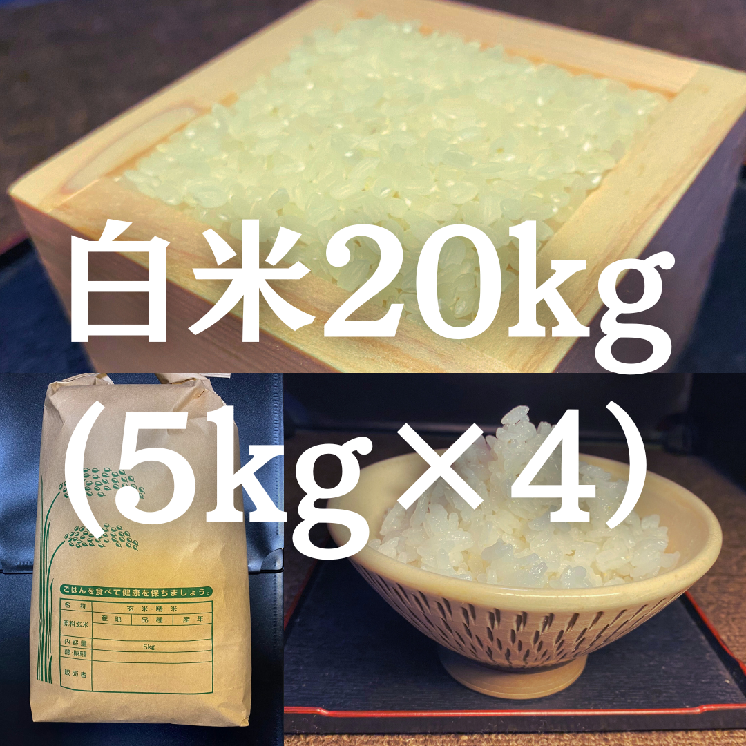 アイガモ米【白米】20kg – 【公式】農家民宿イナカノタネ｜九重山  