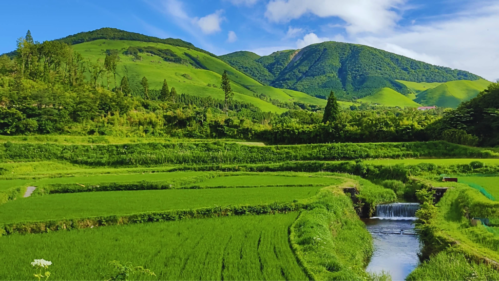 里山メールマガジン