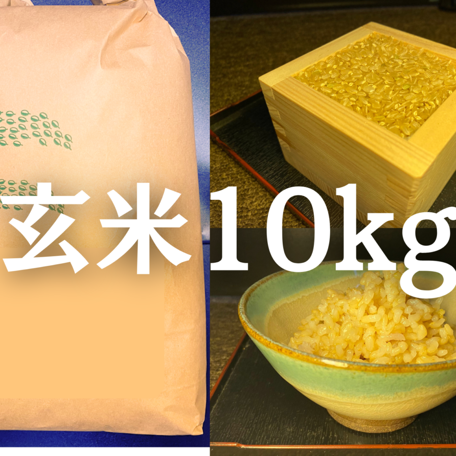 玄米10kg