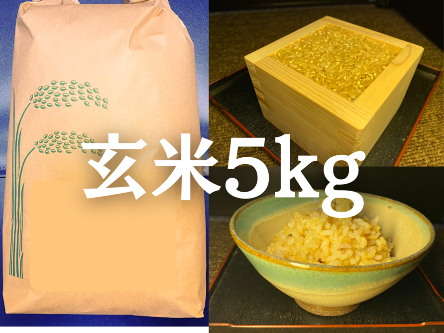 玄米5kg