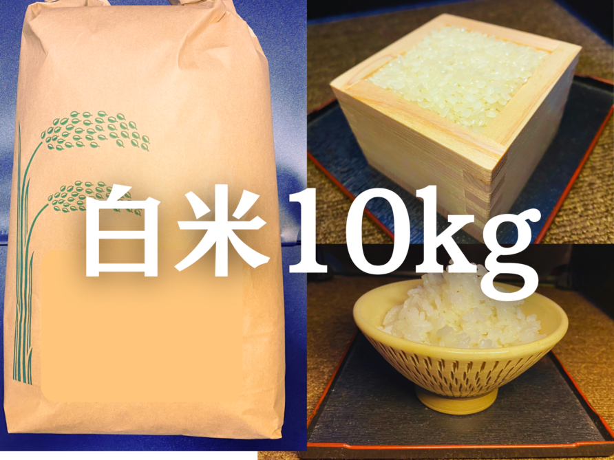 白米10kg