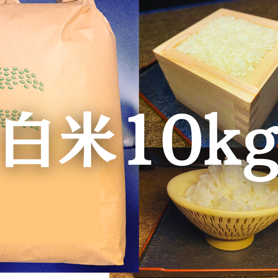 白米10kg