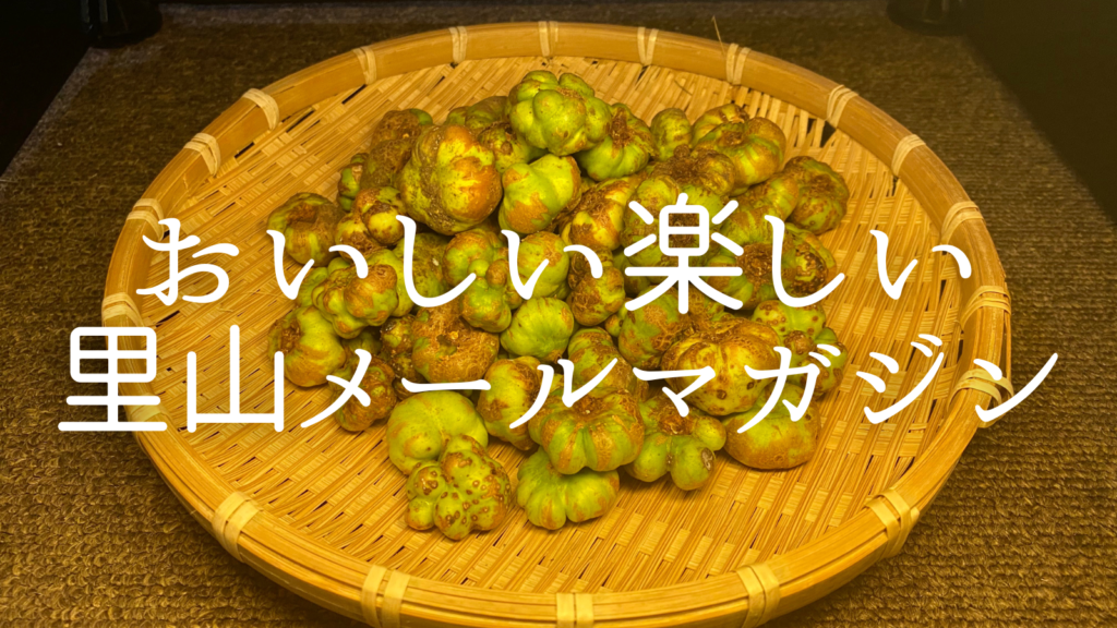 里山メールマガジン