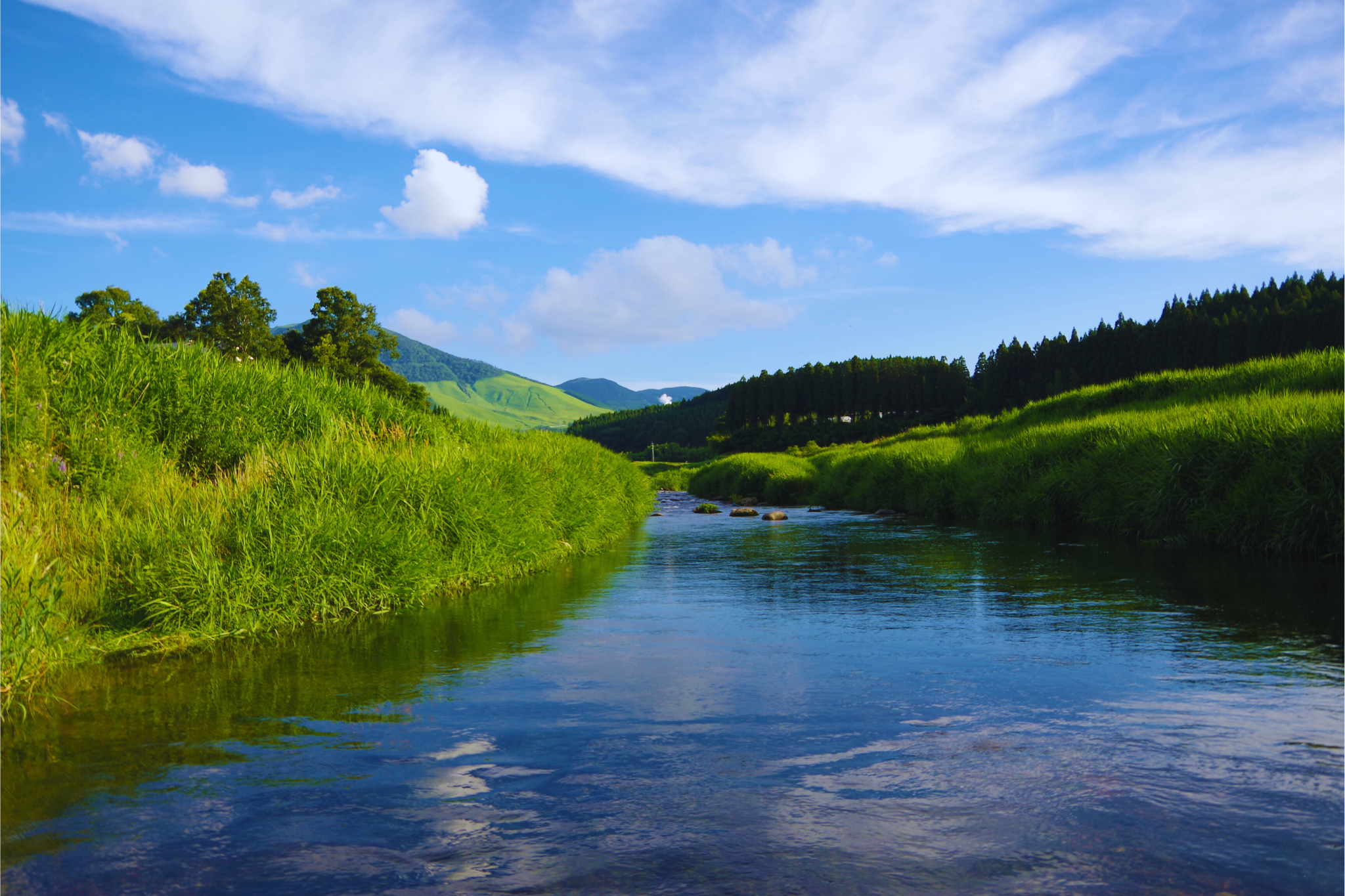 River in front of the Farm Inn