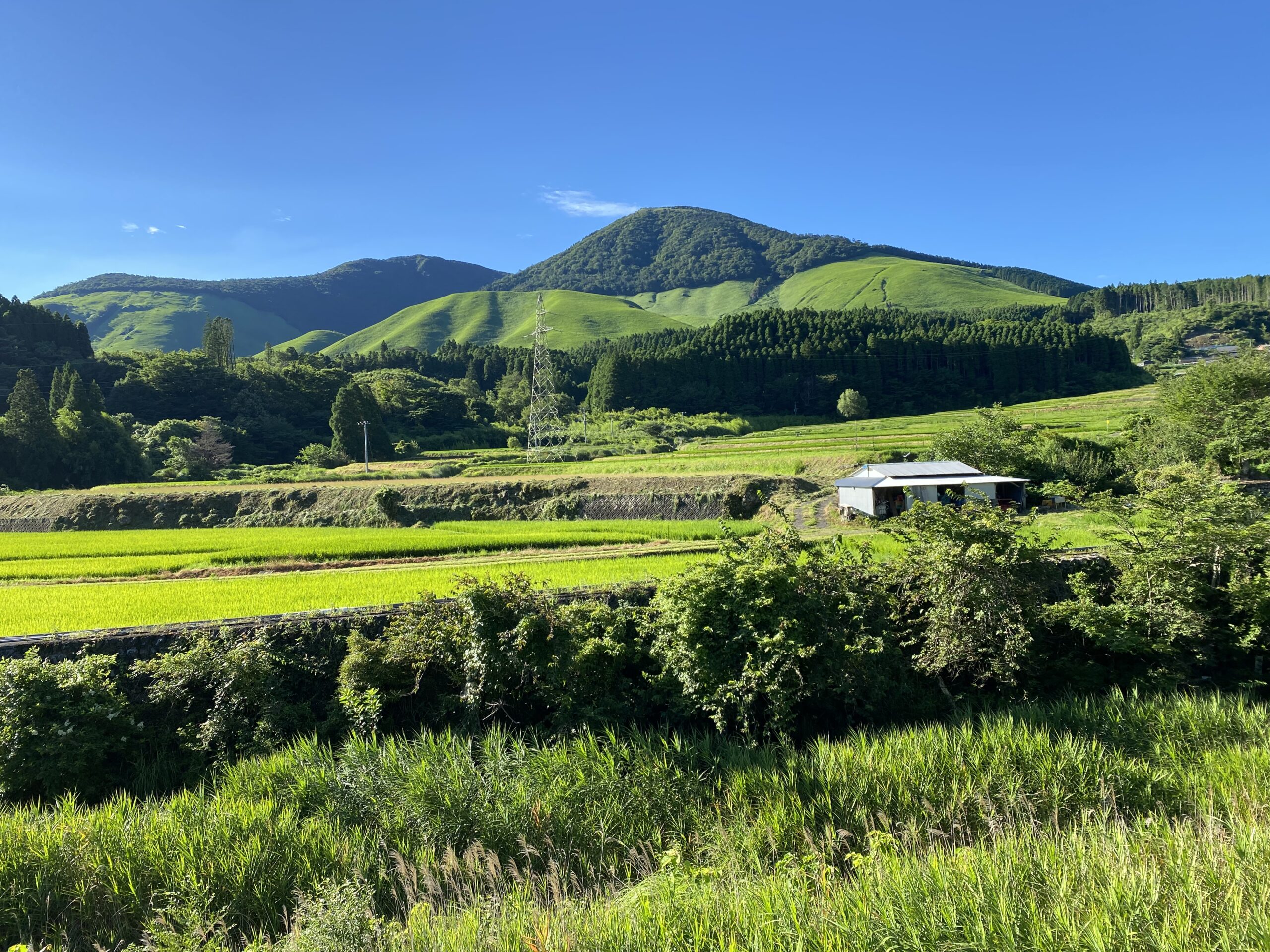 Scenery in front of the Farm Inn