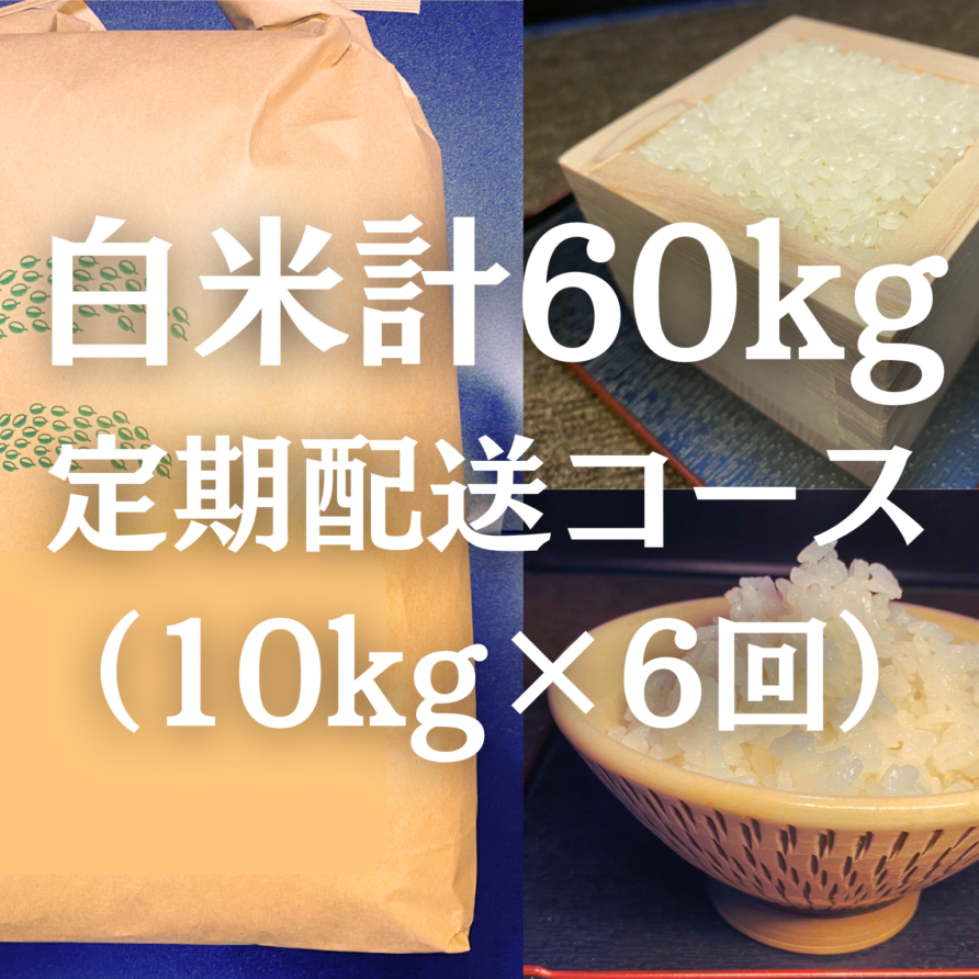 白米計60kg定期コース